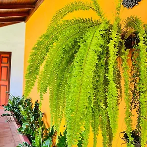 3* Bed & Breakfast Breeze Of Paradise